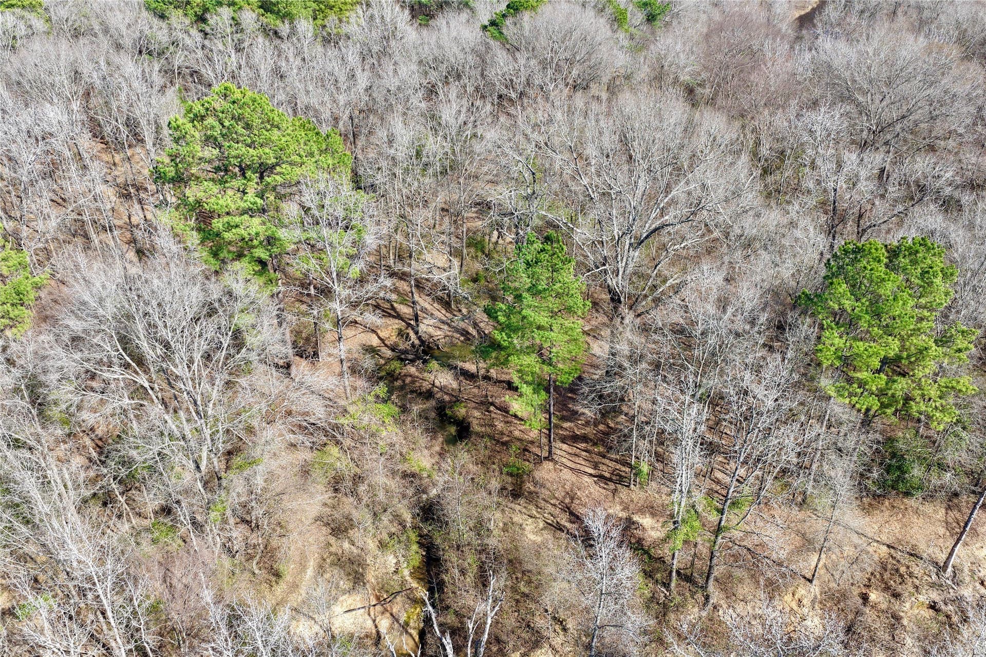468 acres in Bowie County - photo 21