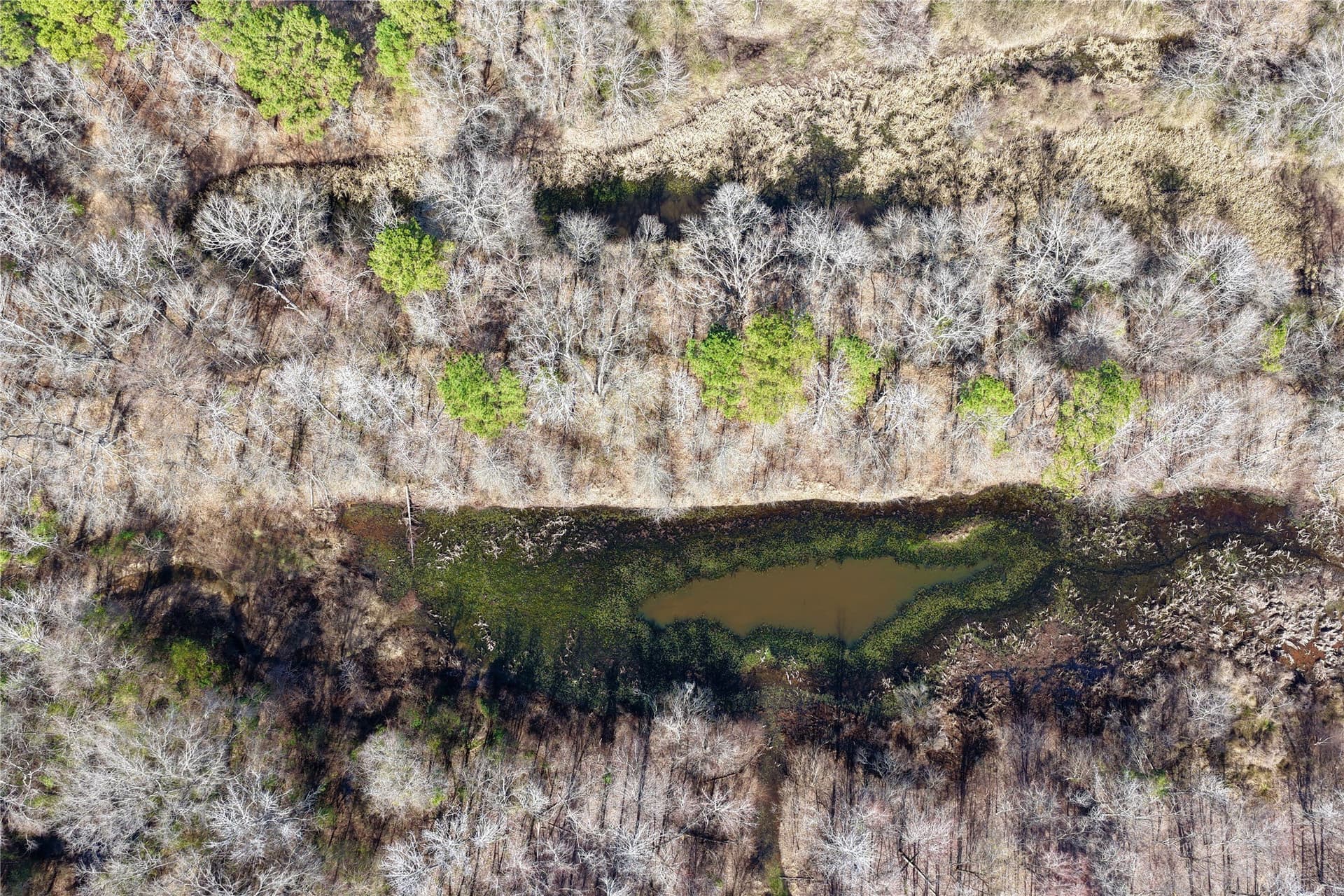 468 acres in Bowie County - photo 30