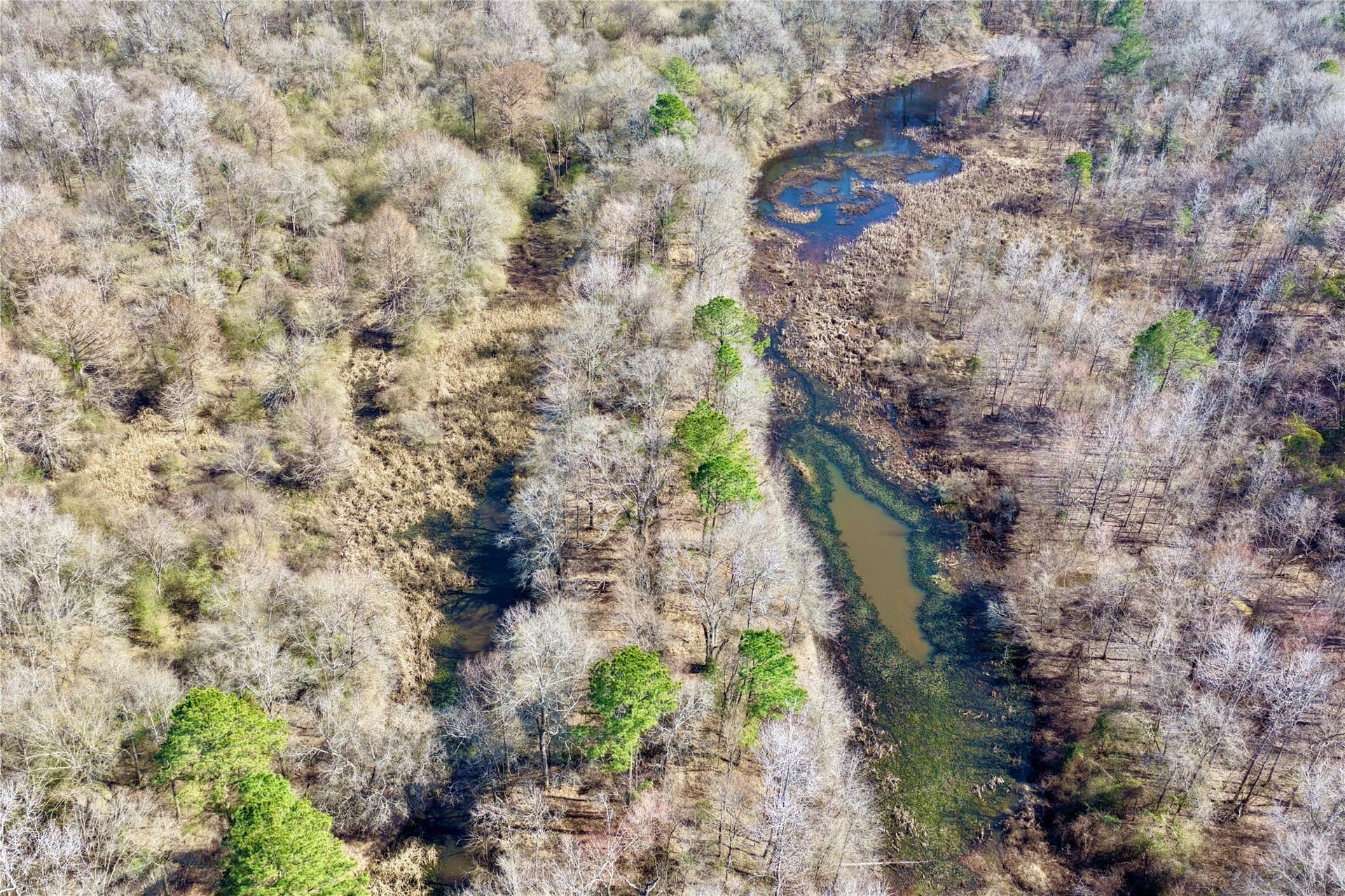 468 acres in Bowie County - photo 31