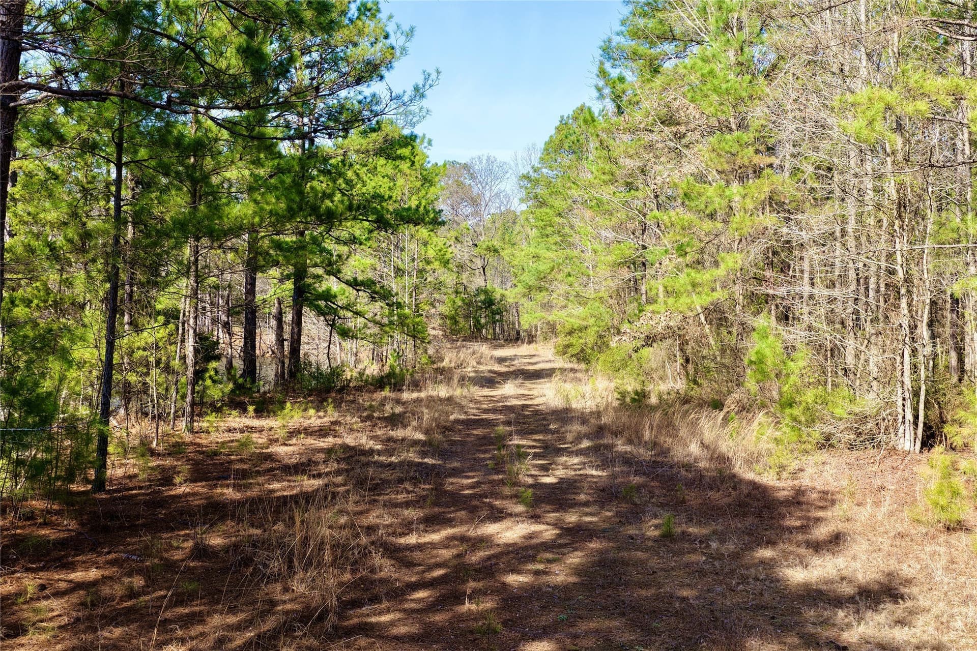 468 acres in Bowie County - photo 37