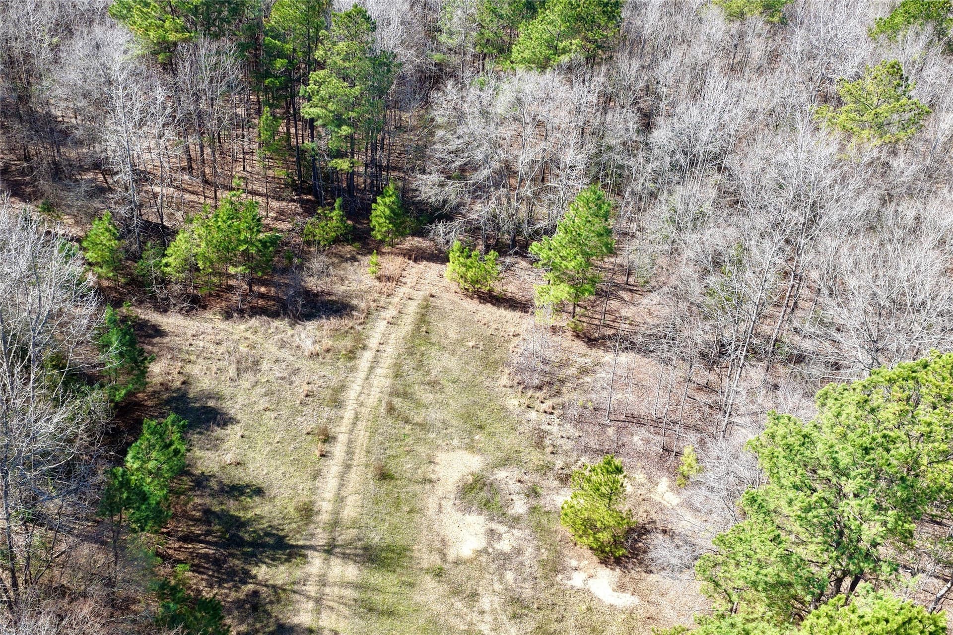 468 acres in Bowie County - photo 17