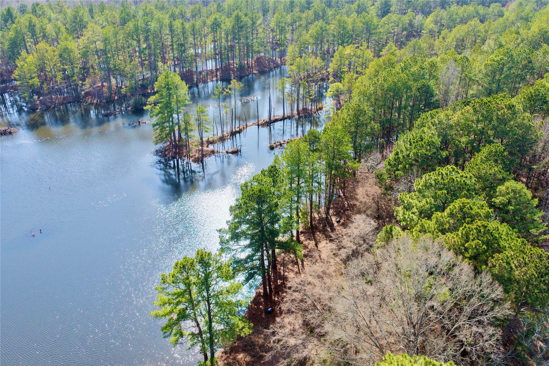 468 acres in Bowie County - photo 40