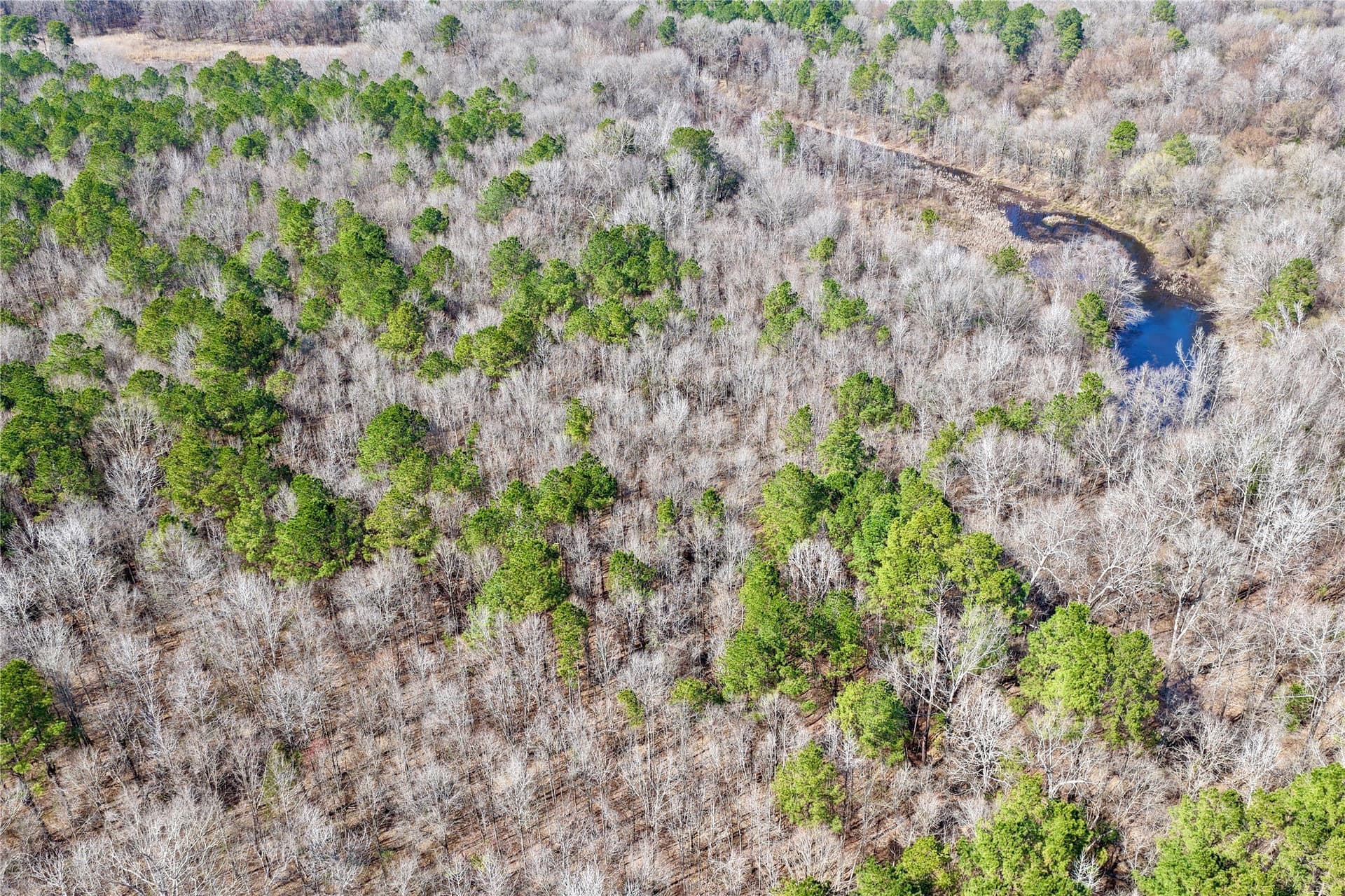 468 acres in Bowie County - photo 12