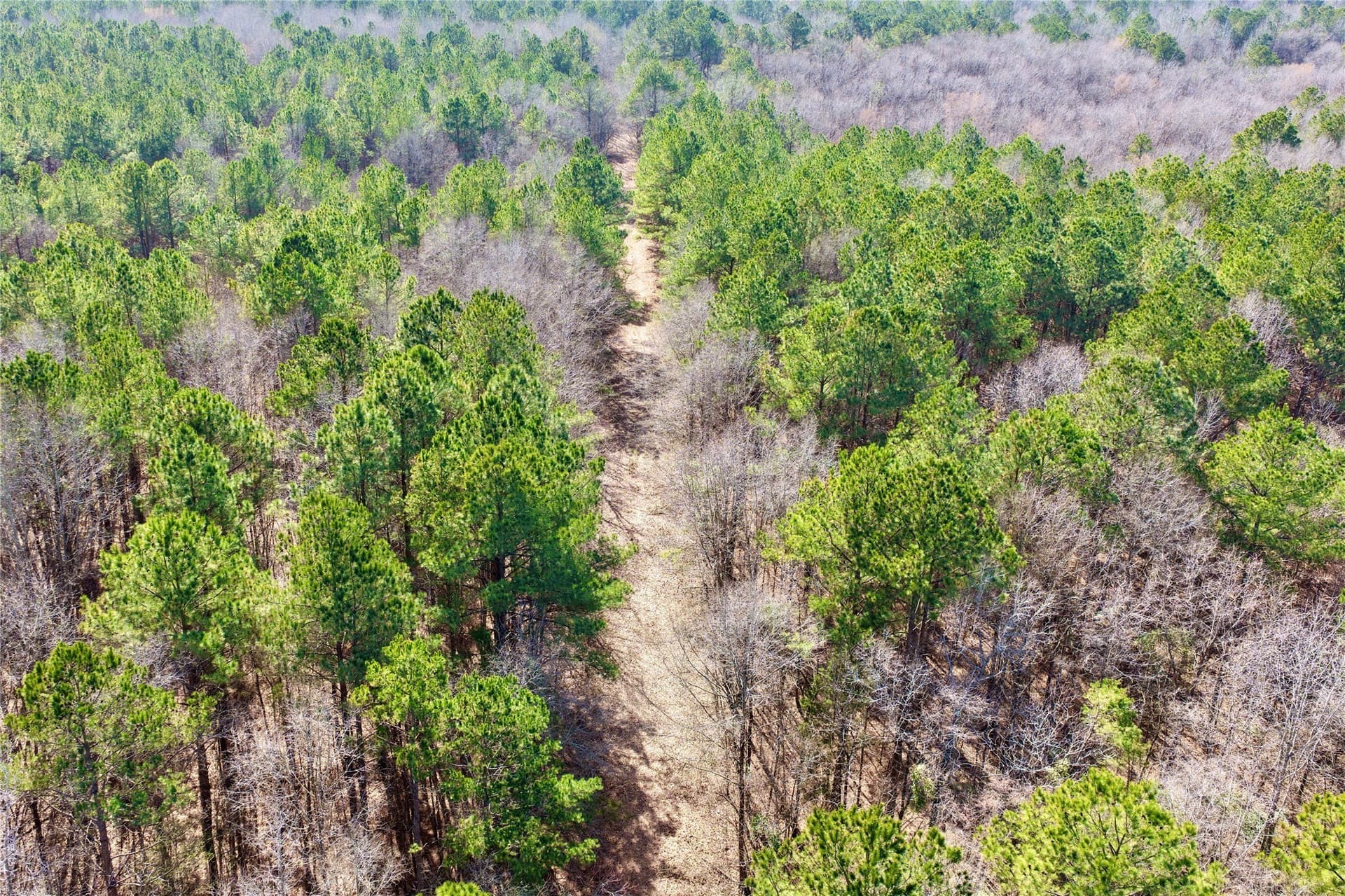 468 acres in Bowie County - photo 32