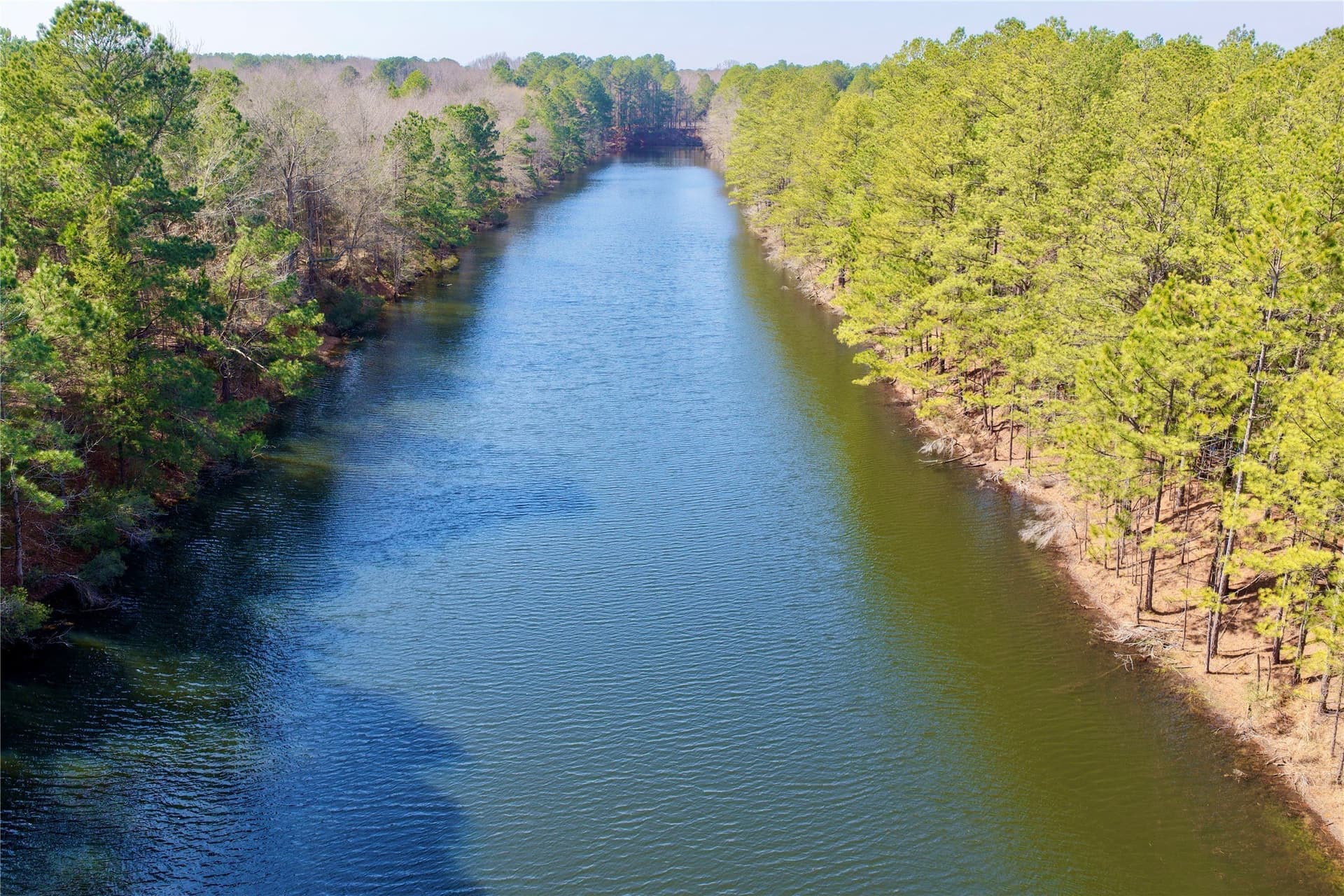 468 acres in Bowie County - photo 4