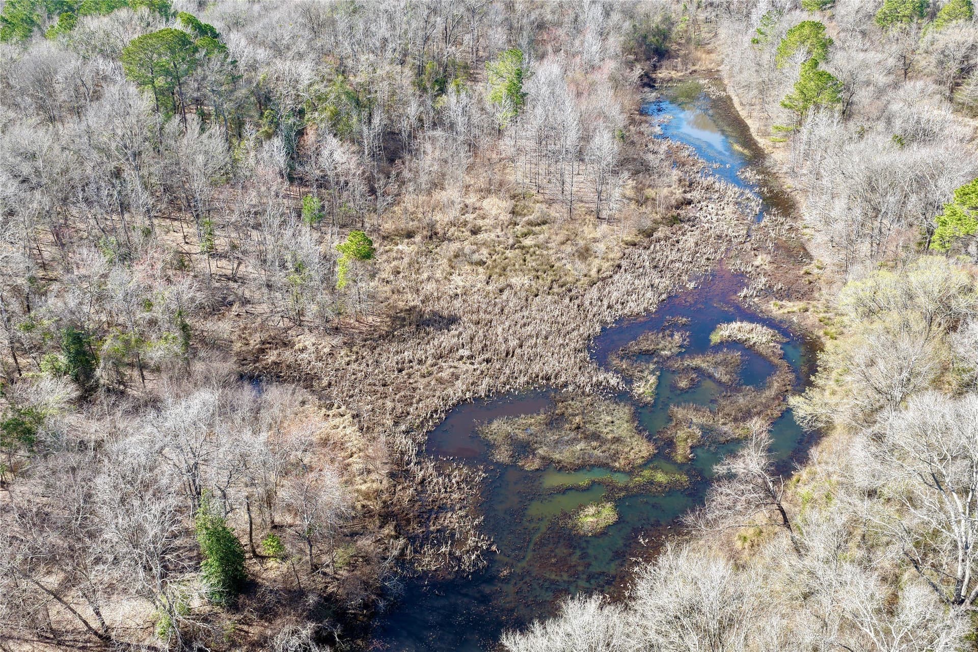 468 acres in Bowie County - photo 14