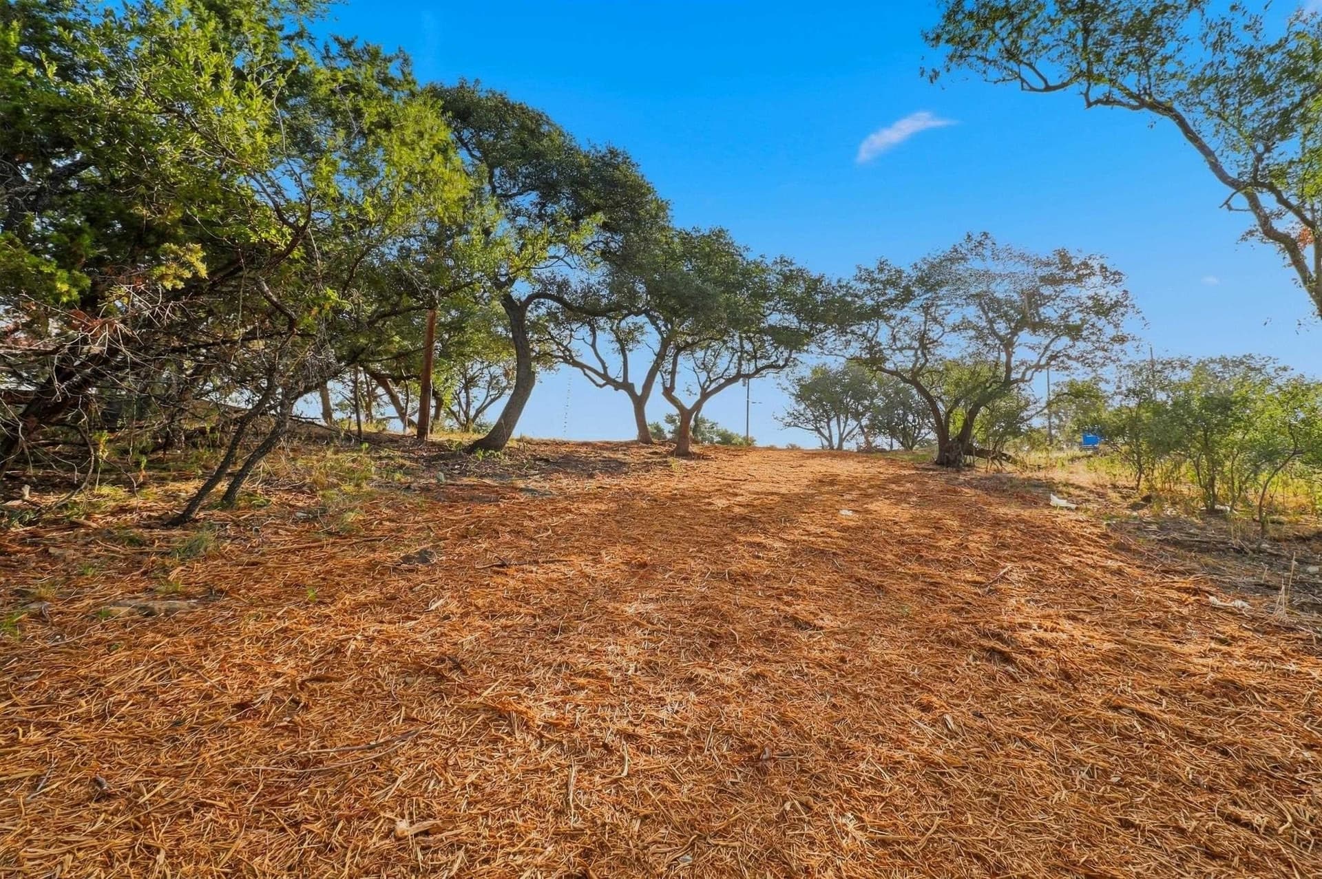 0.33 acres in Burnet County - photo 12