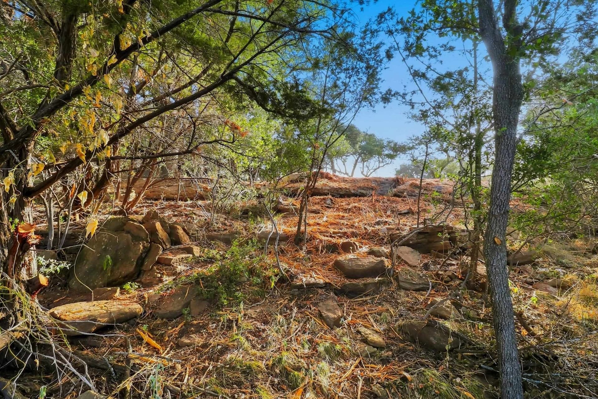 0.33 acres in Burnet County - photo 11