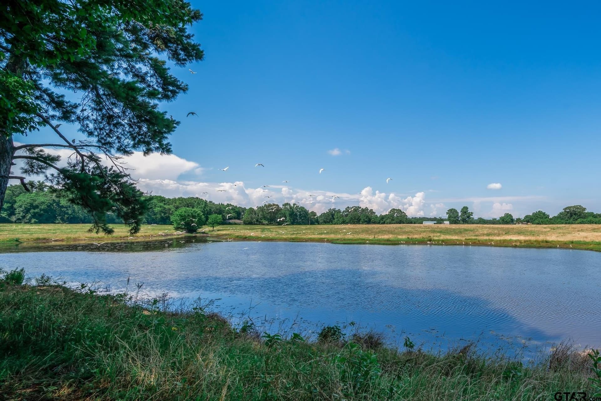 82.91 acres in Cherokee County
