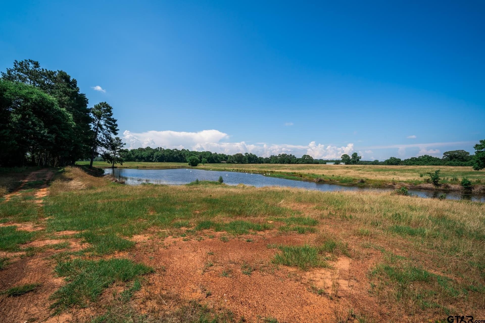 82.91 acres in Cherokee County - photo 24
