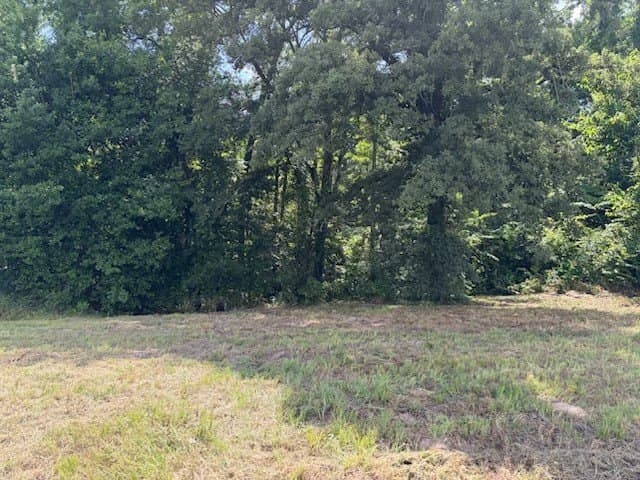 1.73 acres in Upshur County - photo 4