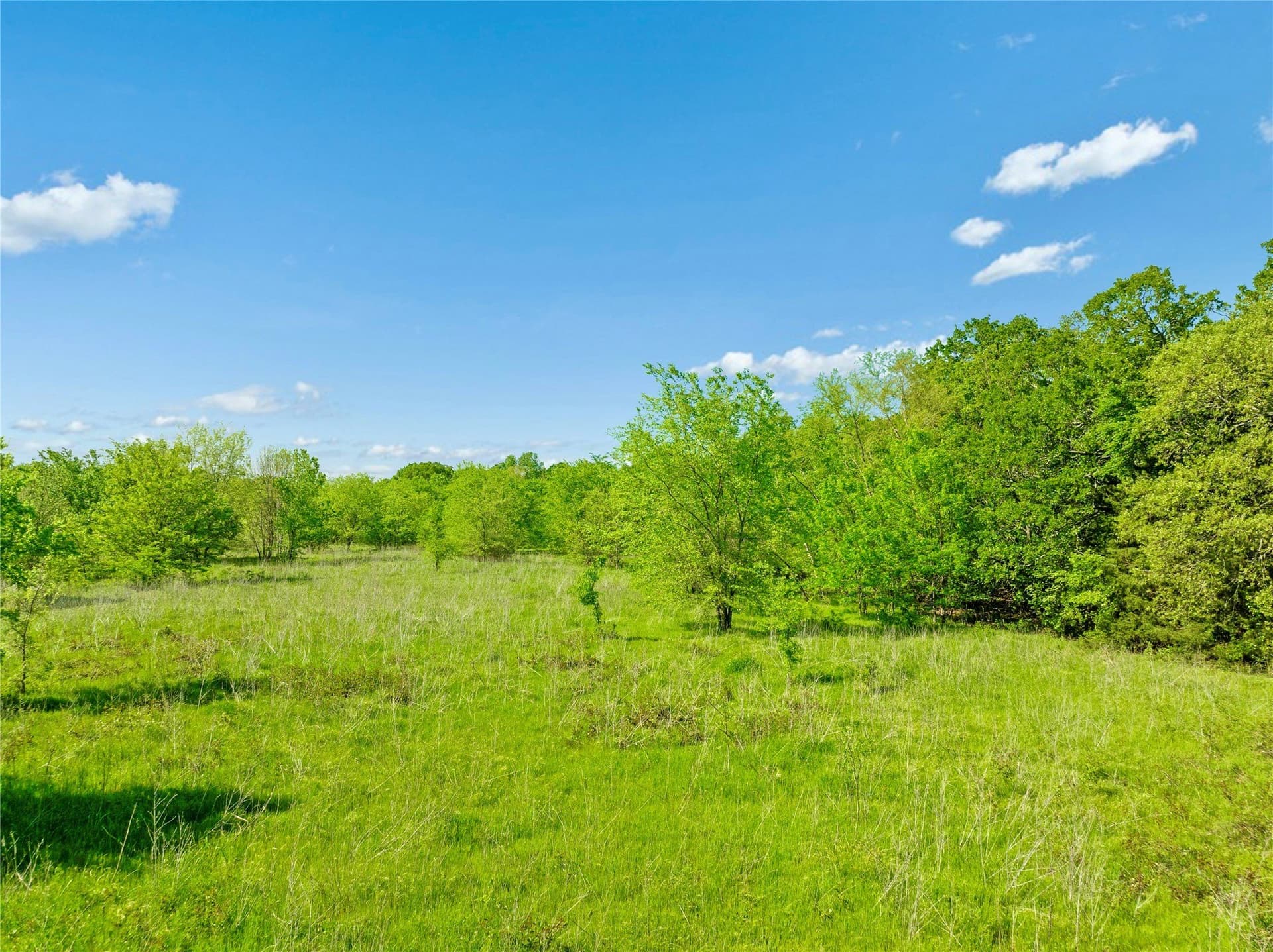 37.49 acres in Lamar County - photo 8
