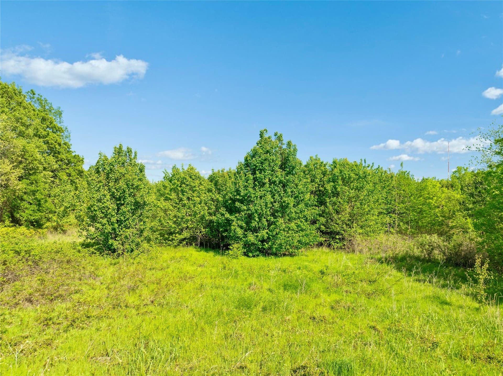 37.49 acres in Lamar County - photo 9