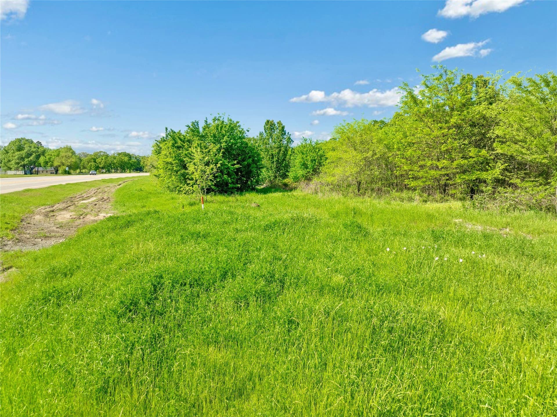 37.49 acres in Lamar County - photo 13