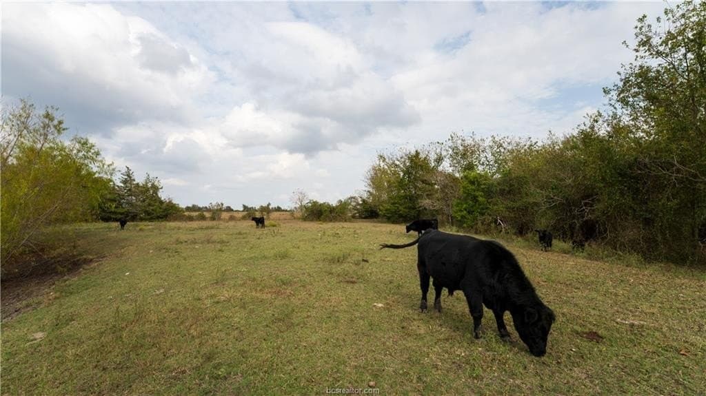 29.81 acres in Washington County featured view