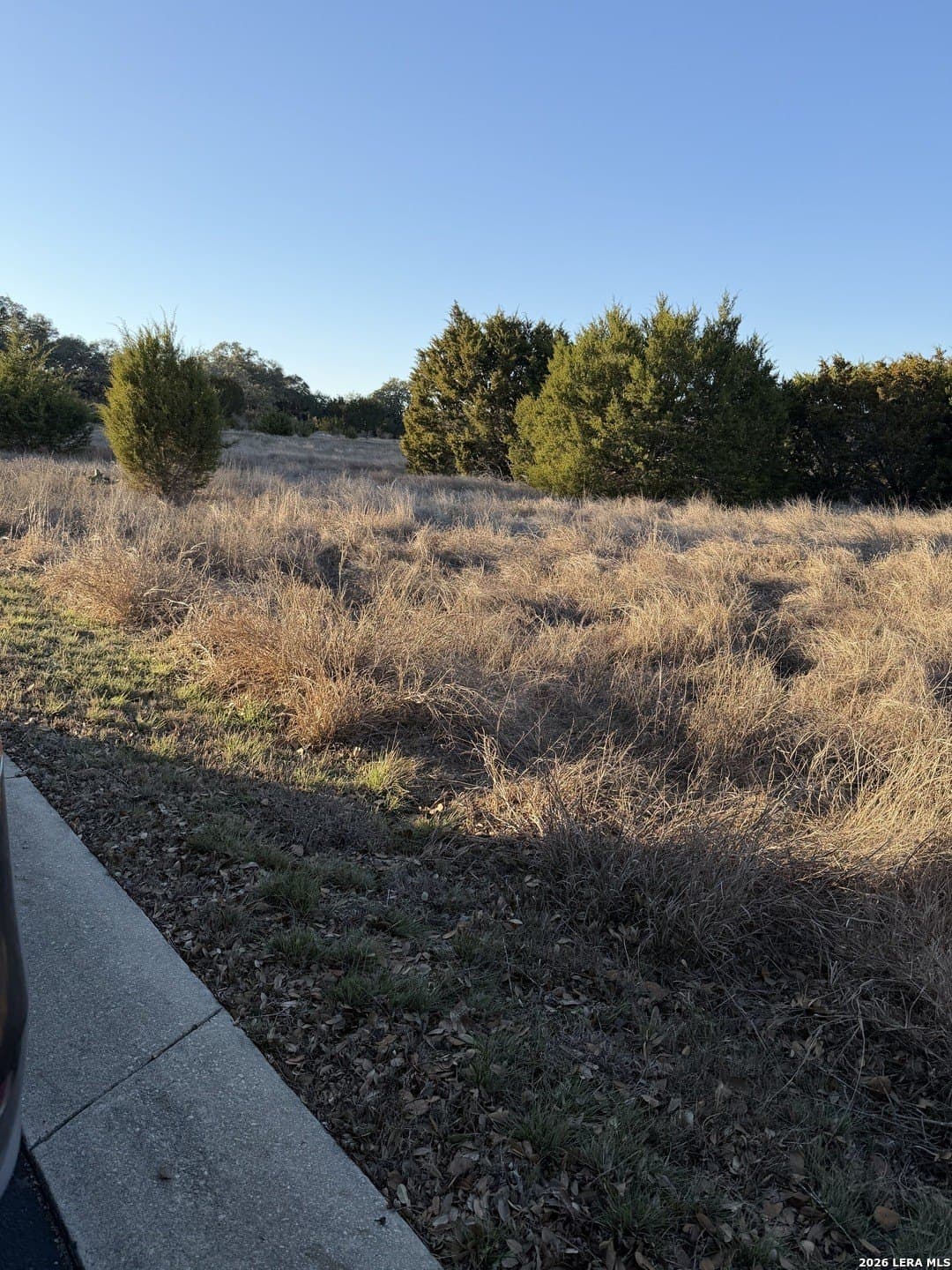 5.26 acres in Comal County gallery image 4