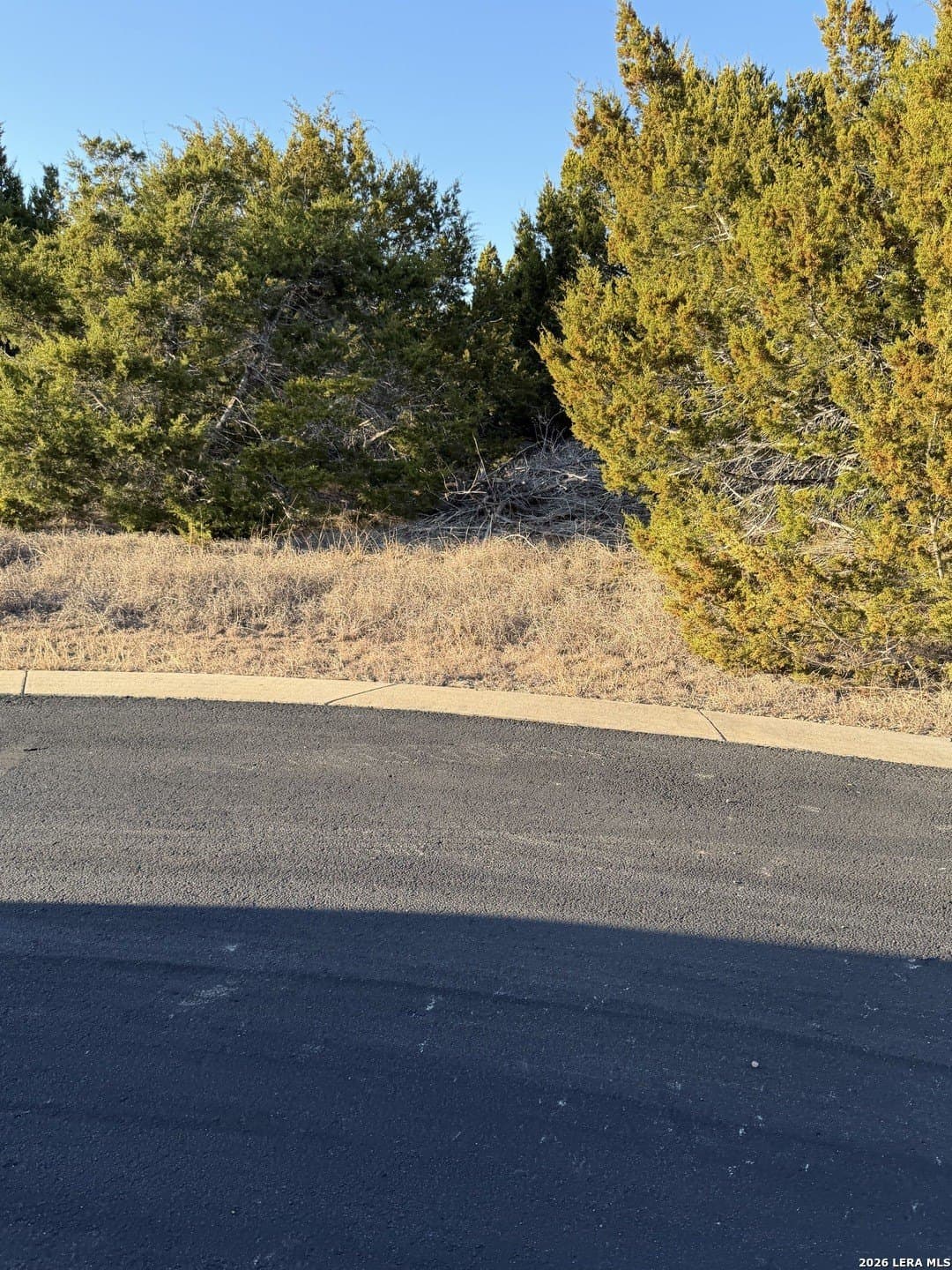 5.26 acres in Comal County - photo 6