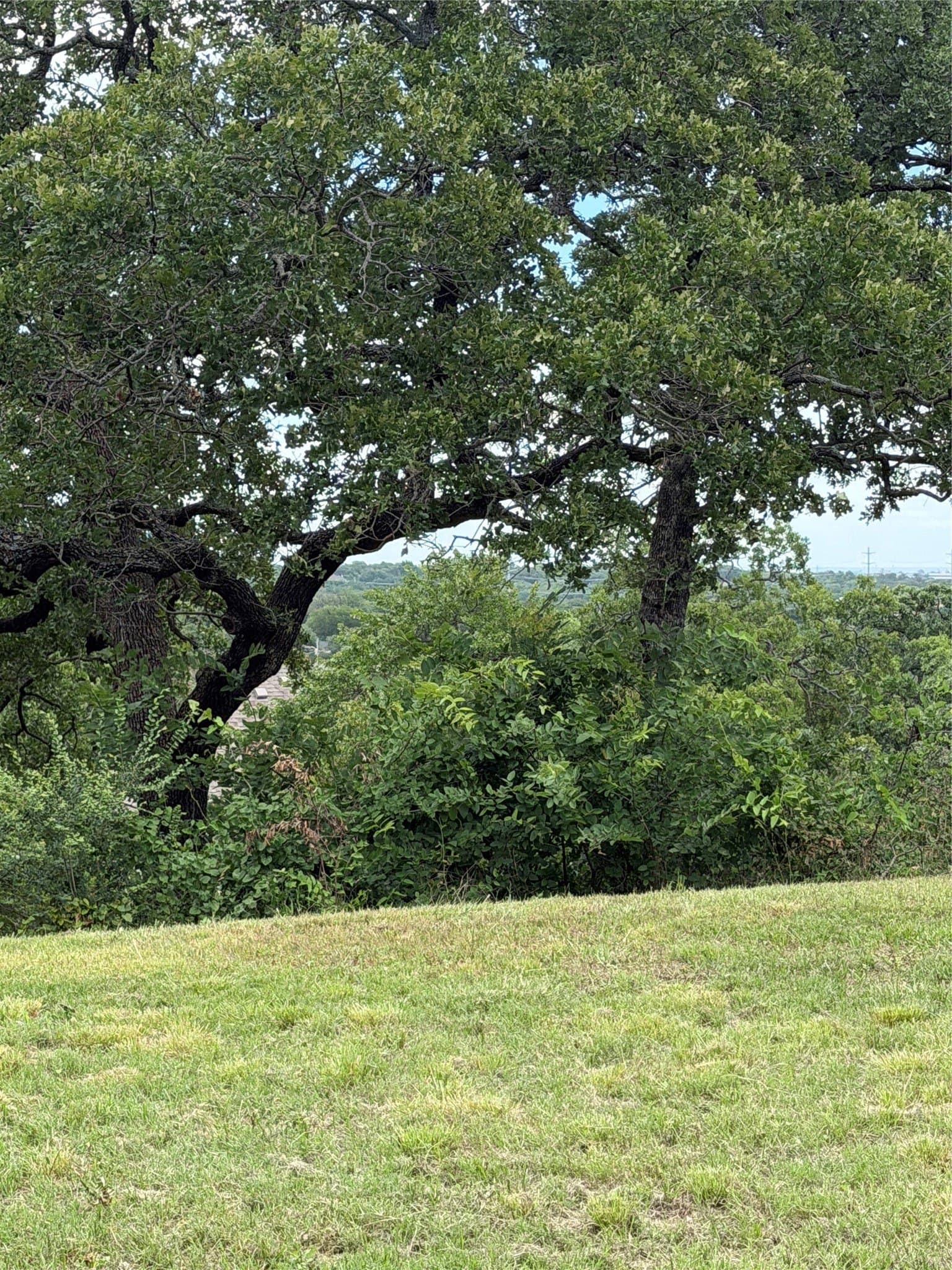 0.29 acres in Tarrant County - photo 6