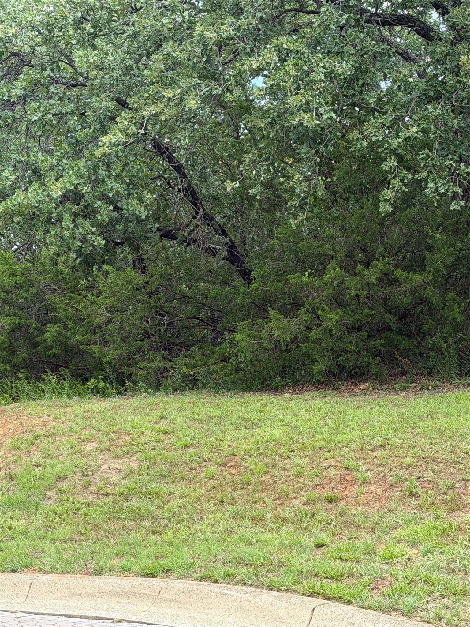 0.29 acres in Tarrant County - photo 7