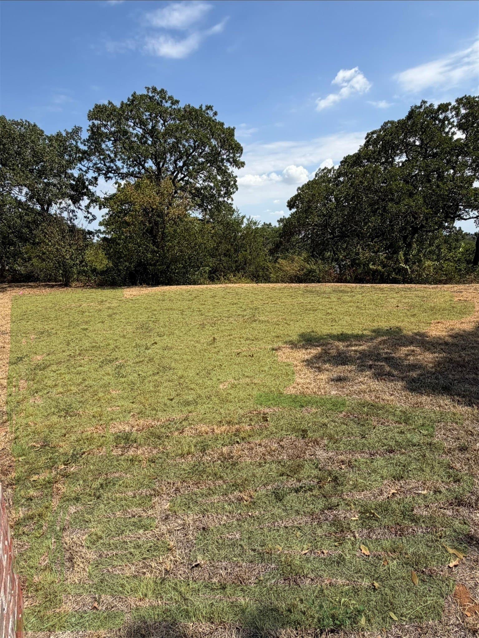 0.29 acres in Tarrant County - photo 9