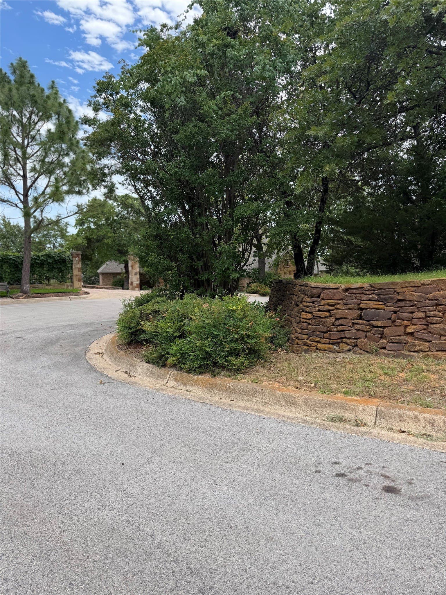 0.29 acres in Tarrant County - photo 12