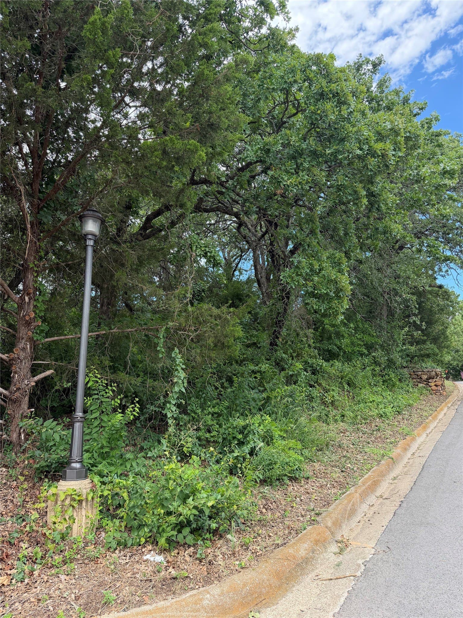 0.29 acres in Tarrant County - photo 19
