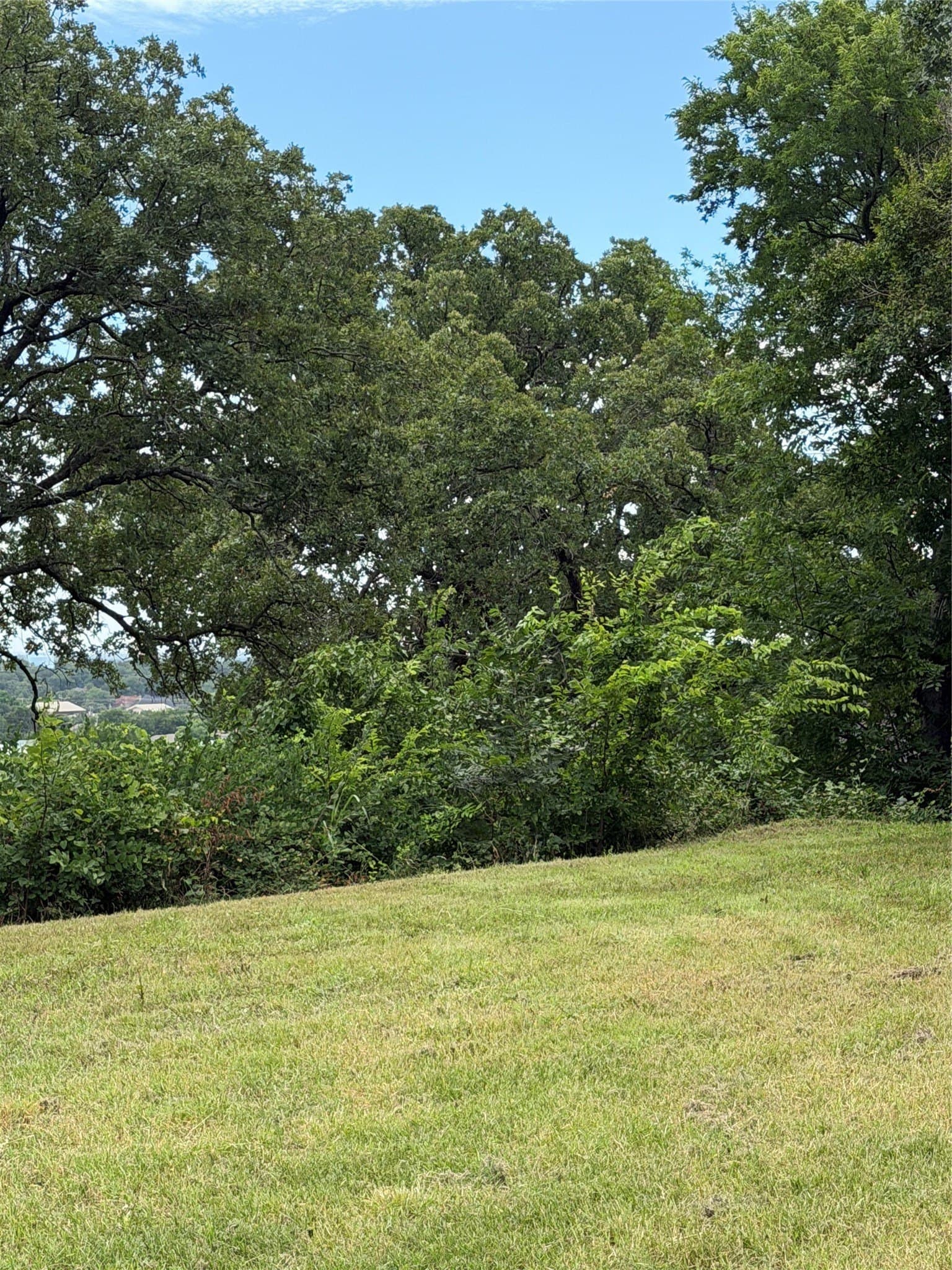 0.29 acres in Tarrant County - photo 4