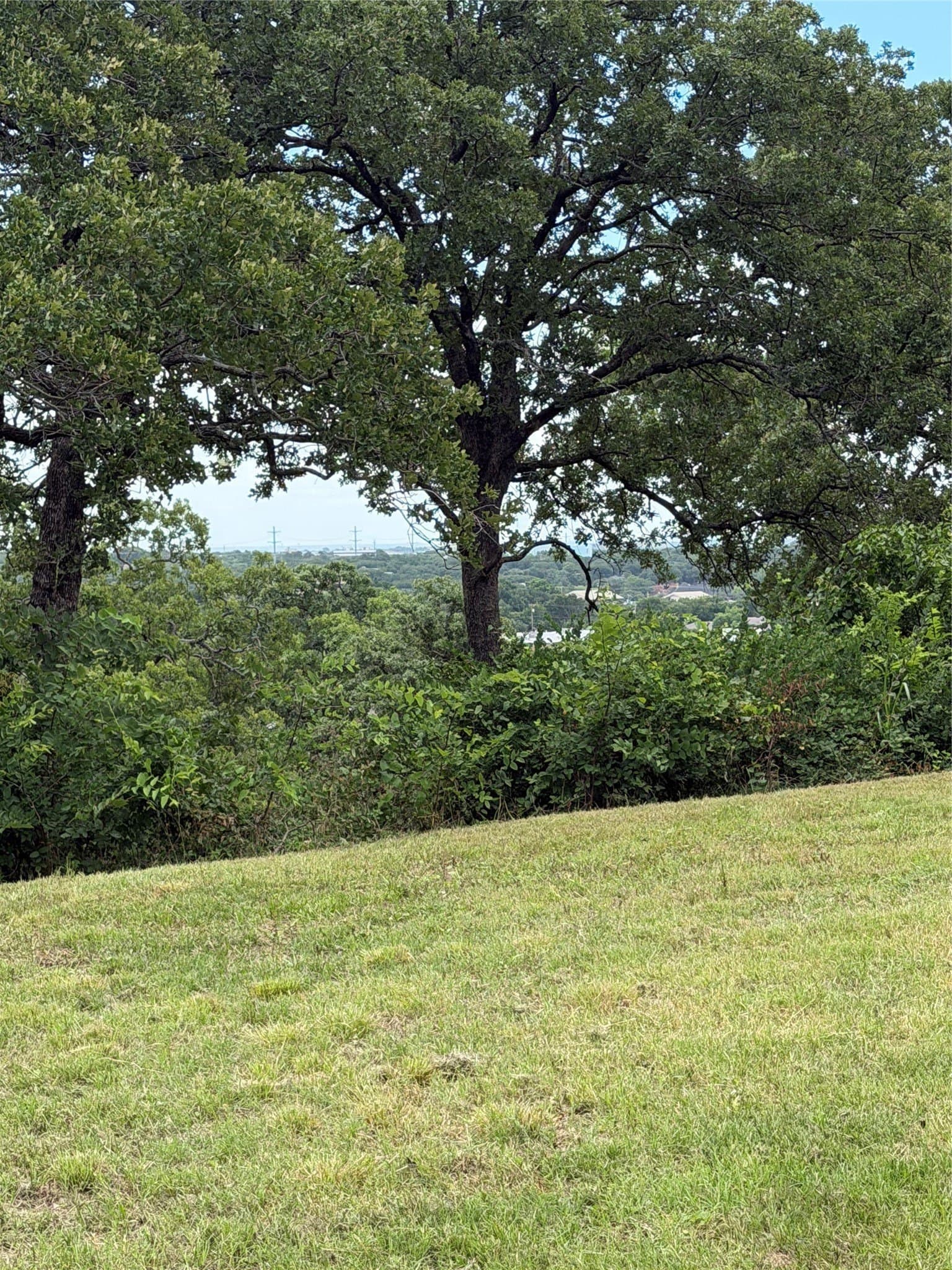 0.29 acres in Tarrant County - photo 5