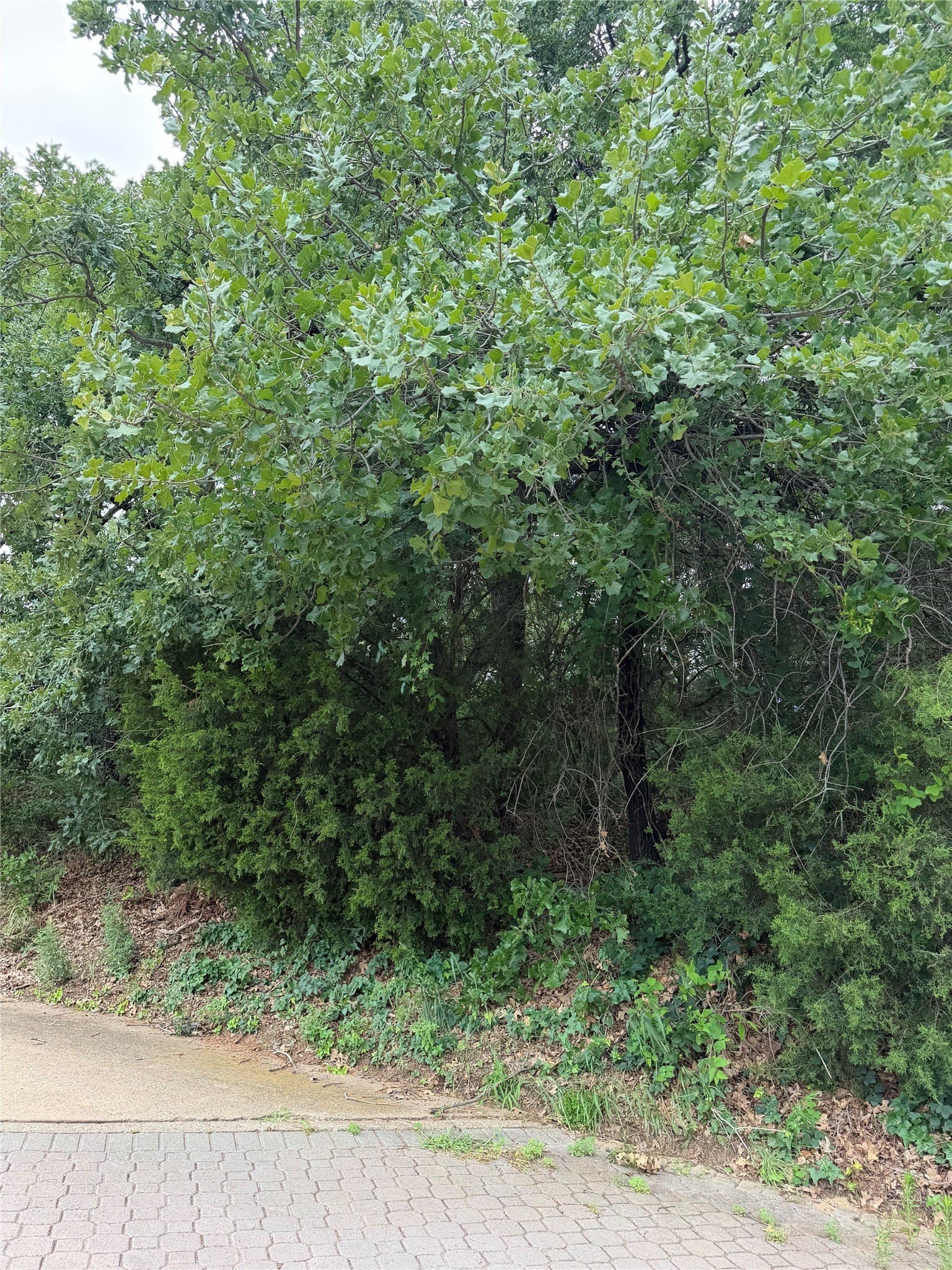 0.29 acres in Tarrant County - photo 20