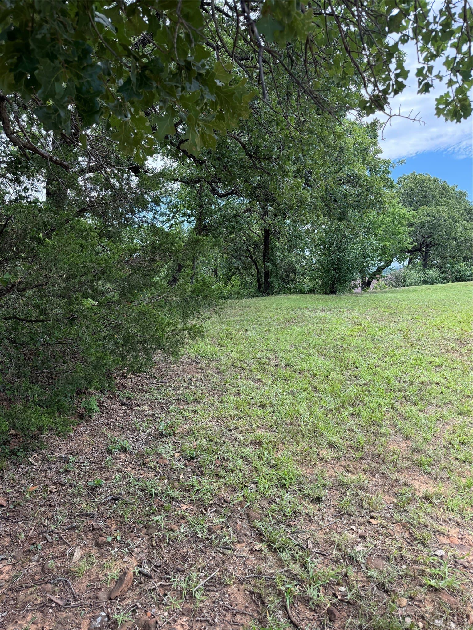 0.29 acres in Tarrant County - photo 8