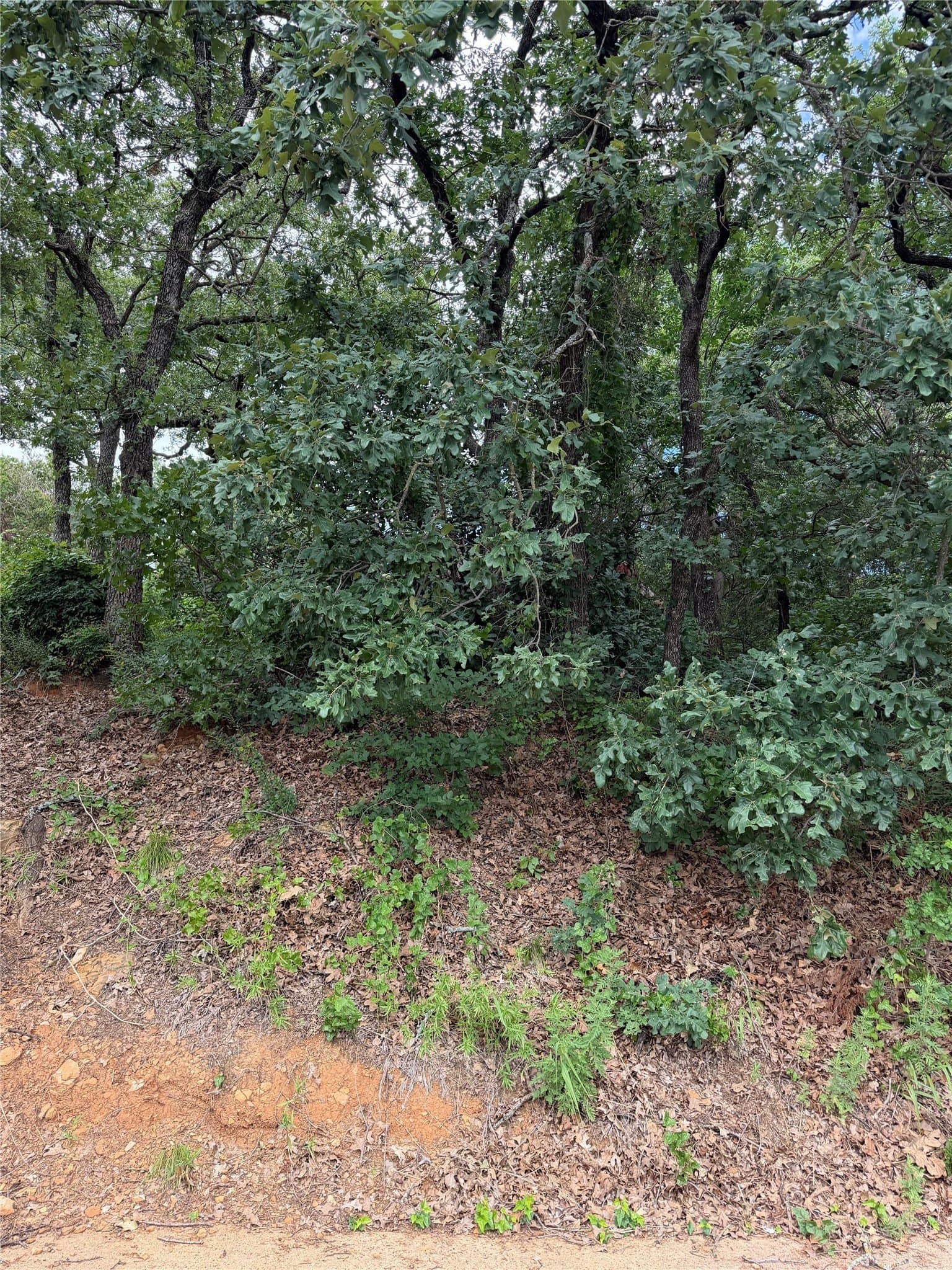 0.29 acres in Tarrant County - photo 22