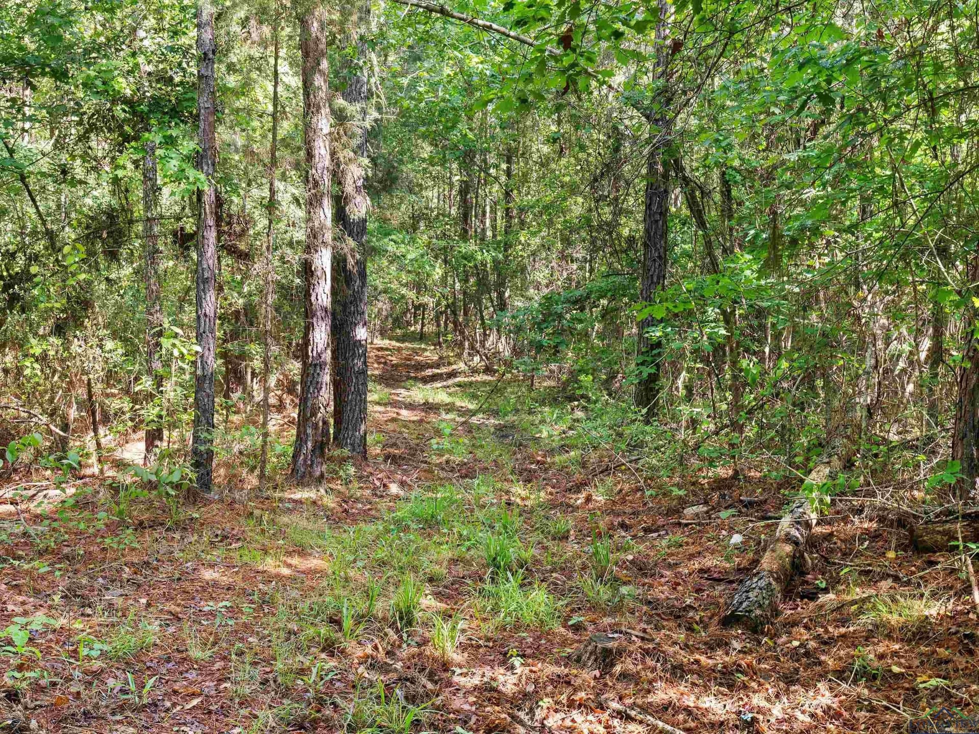 19.94 acres in Marion County featured view