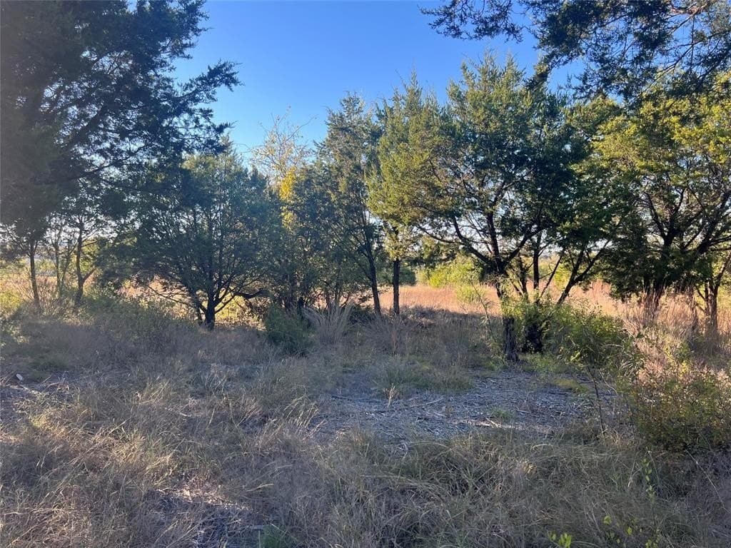 2 acres in Hood County gallery image 2