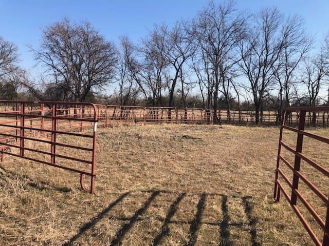 3.24 acres in Denton County gallery image 3