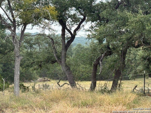 18.14 acres in Comal County gallery image 3
