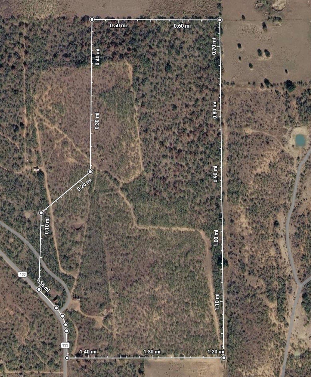 80 acres in Shackelford County - photo 14