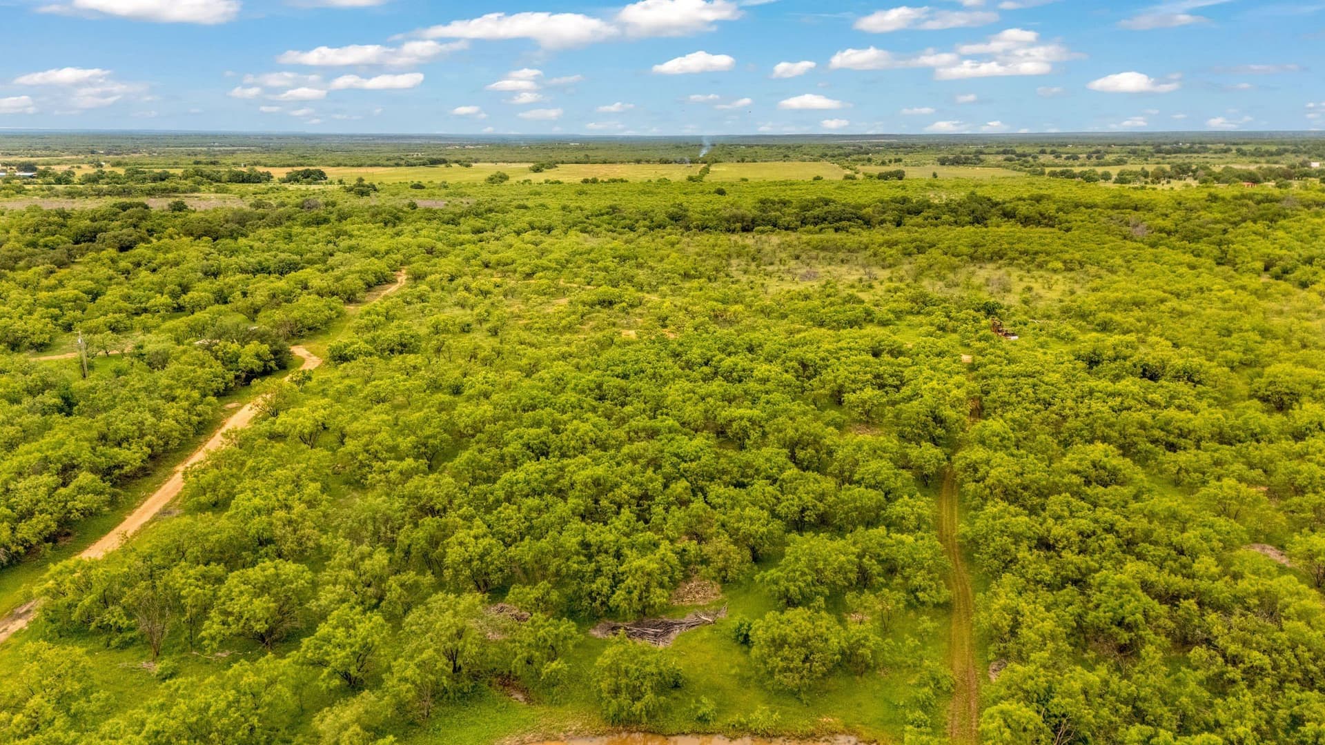 80 acres in Shackelford County - photo 32