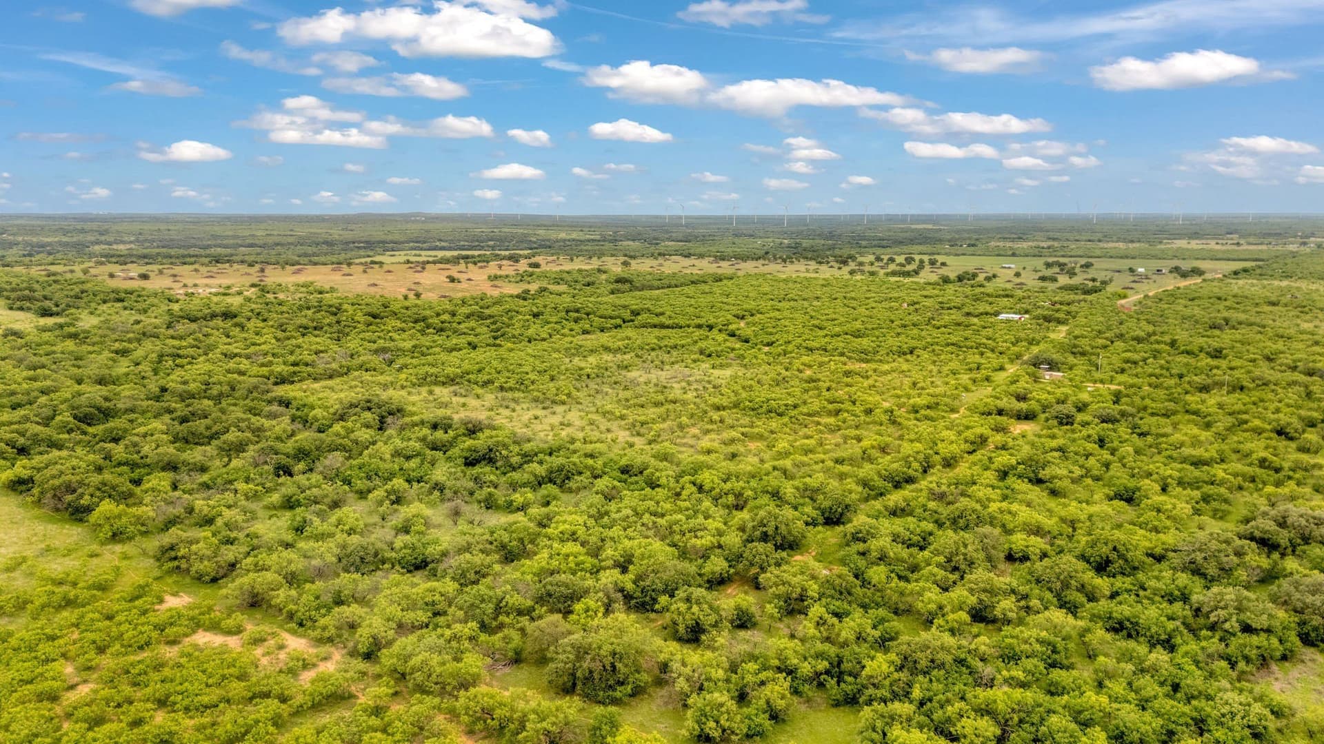 80 acres in Shackelford County - photo 23