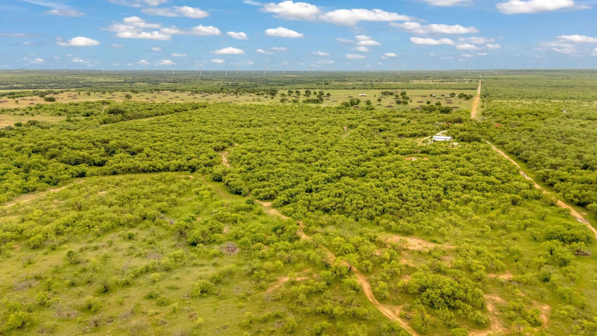 80 acres in Shackelford County - photo 25