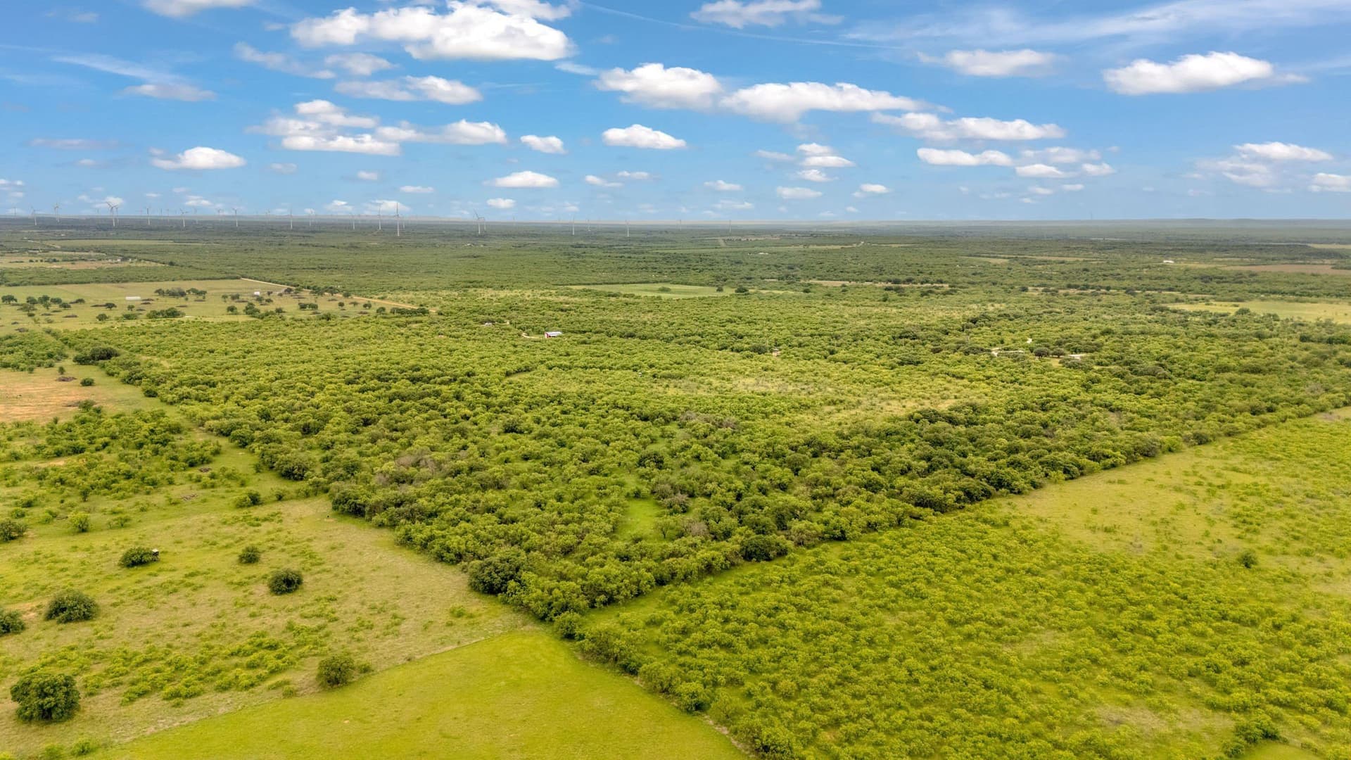 80 acres in Shackelford County - photo 21