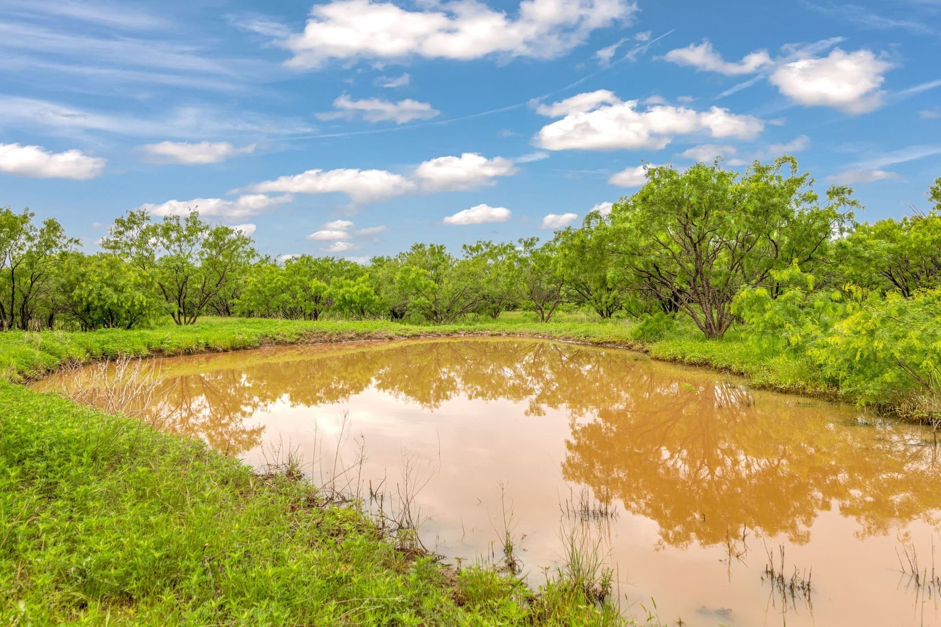 80 acres in Shackelford County - photo 13