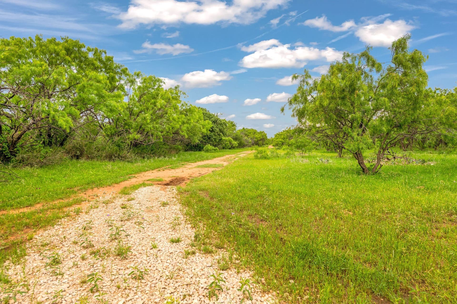 80 acres in Shackelford County - photo 34