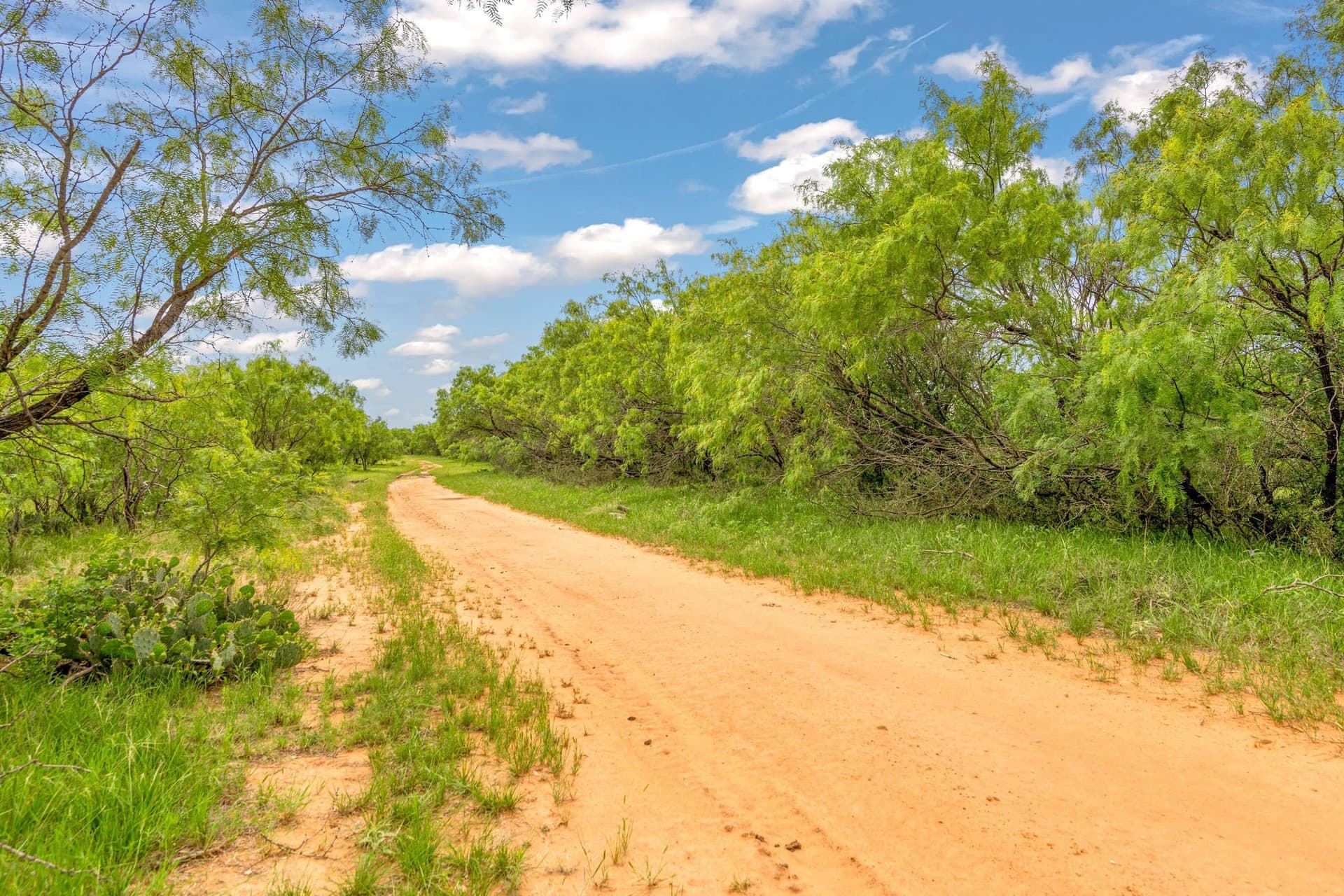 80 acres in Shackelford County - photo 36