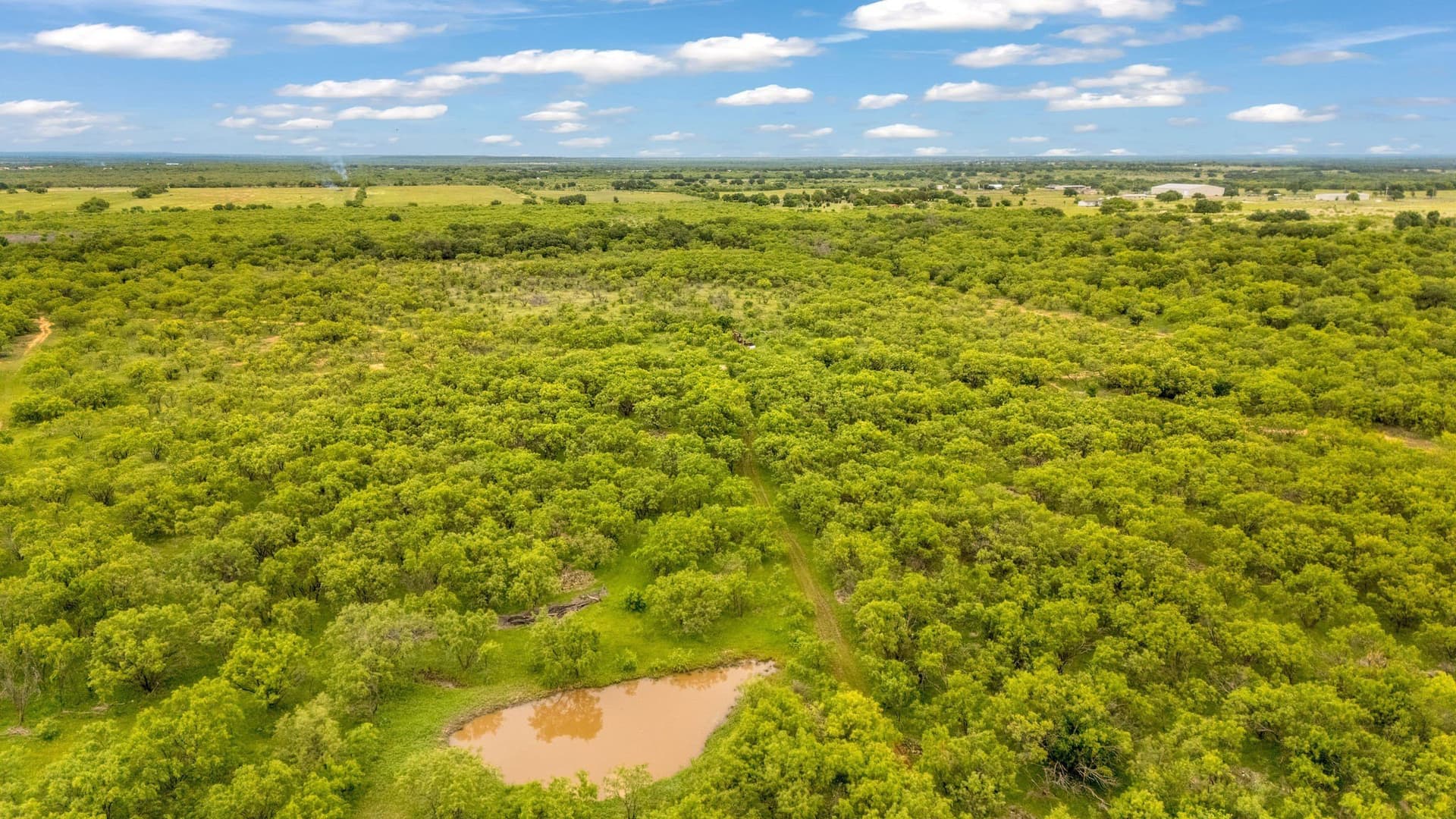 80 acres in Shackelford County - photo 29