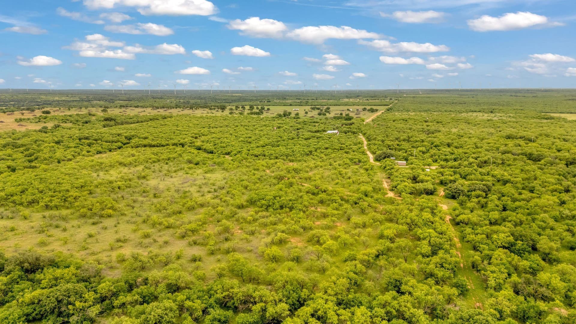 80 acres in Shackelford County - photo 24
