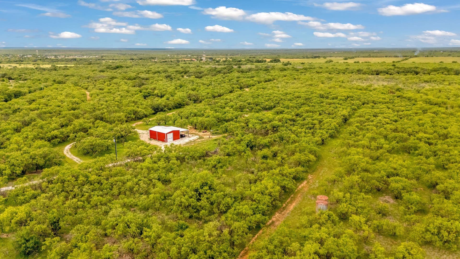 80 acres in Shackelford County - photo 31