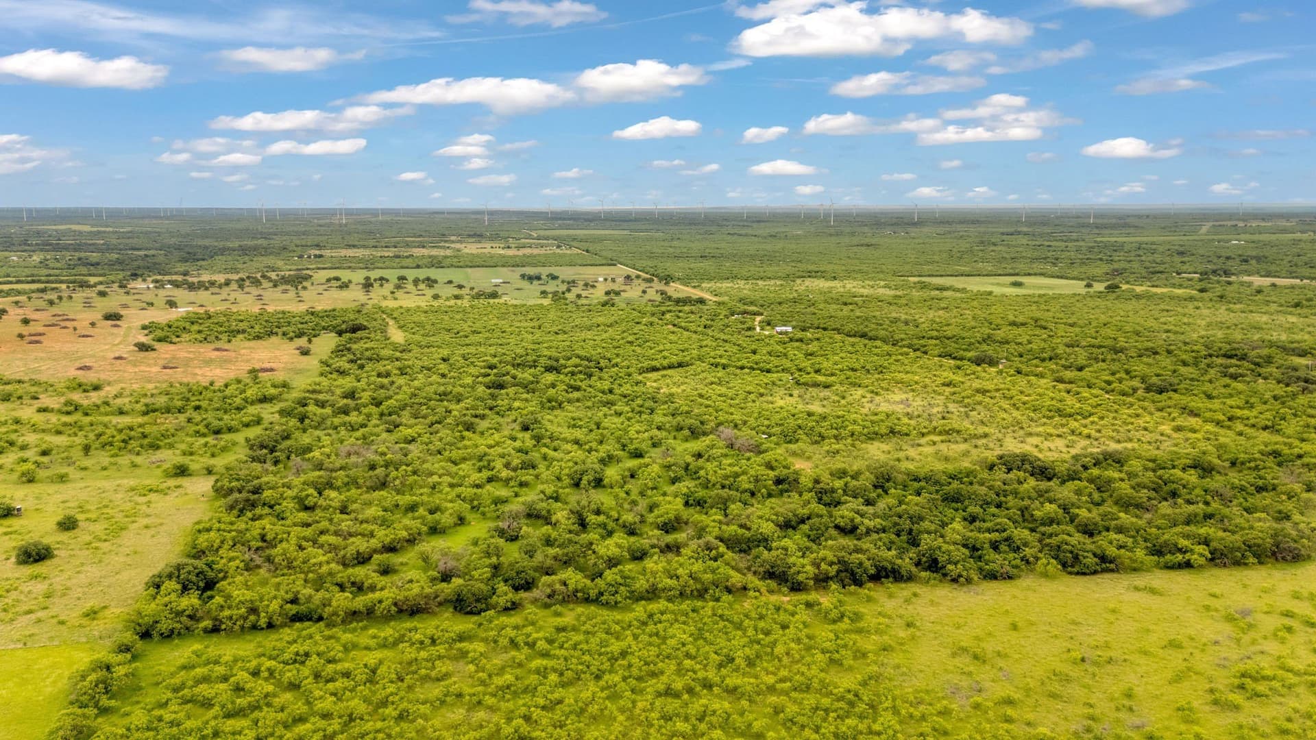80 acres in Shackelford County - photo 22