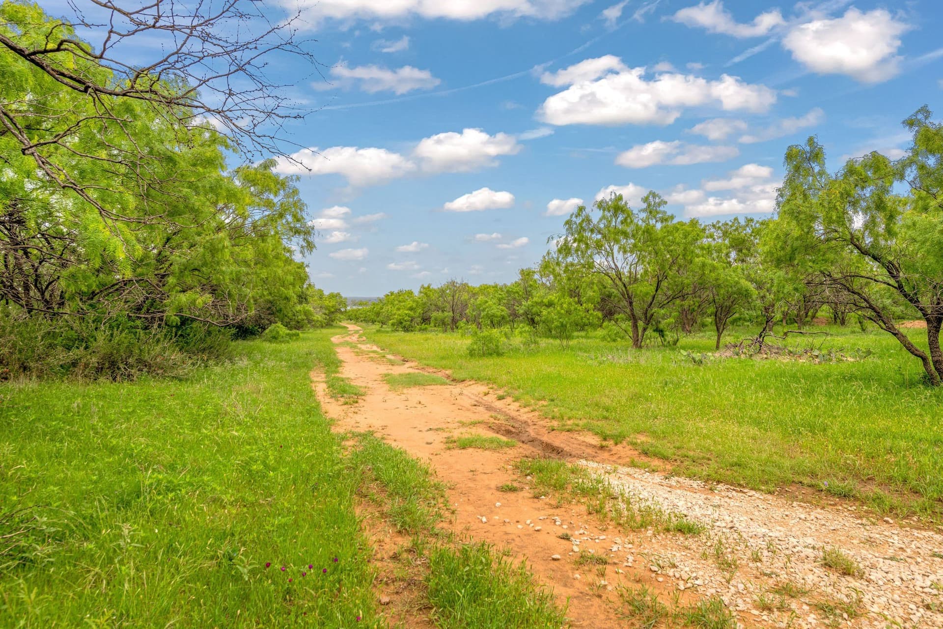 80 acres in Shackelford County - photo 35