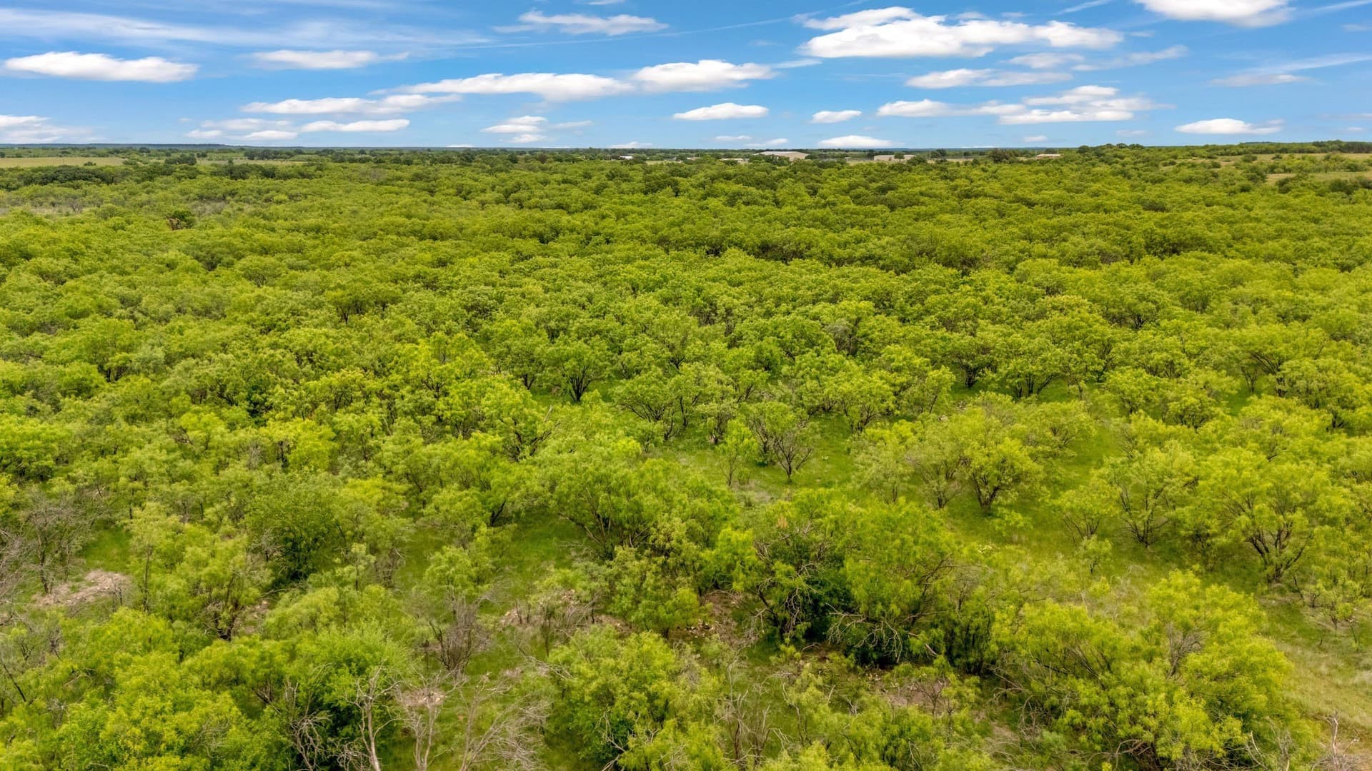 80 acres in Shackelford County - photo 20