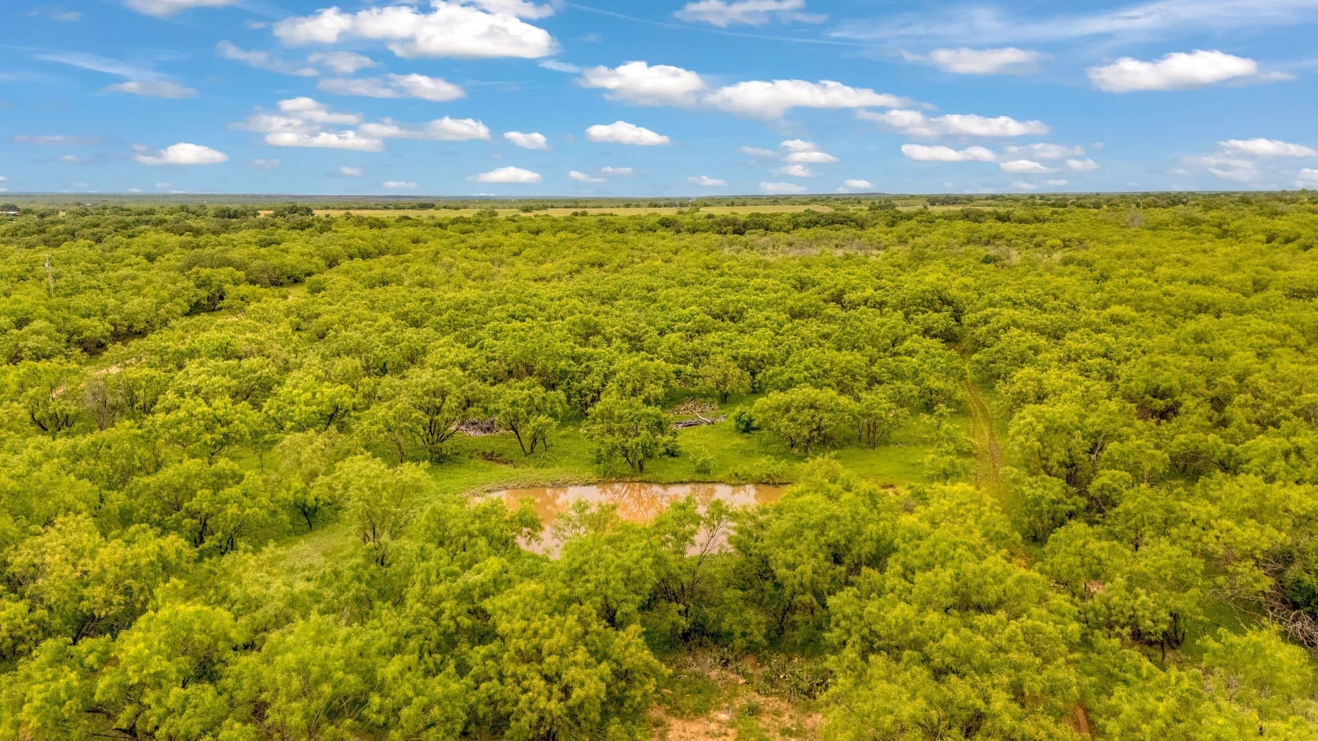 80 acres in Shackelford County - photo 33